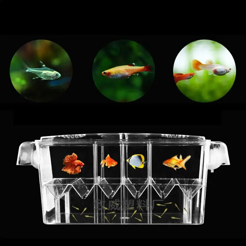 Acrylic Double-Deck Clear Fish Breeding Isolation Box Hatchery Divider for Shrimp Clownfish Aggressive Fish Injured fish breeding box