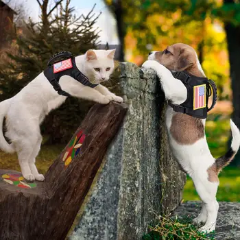 Tactical Puppy Harness Leash Set For Small Dogs Adjustable Cat Harnesses Vest For Training Walking Military Cats Dog Accessories 4