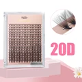 20D