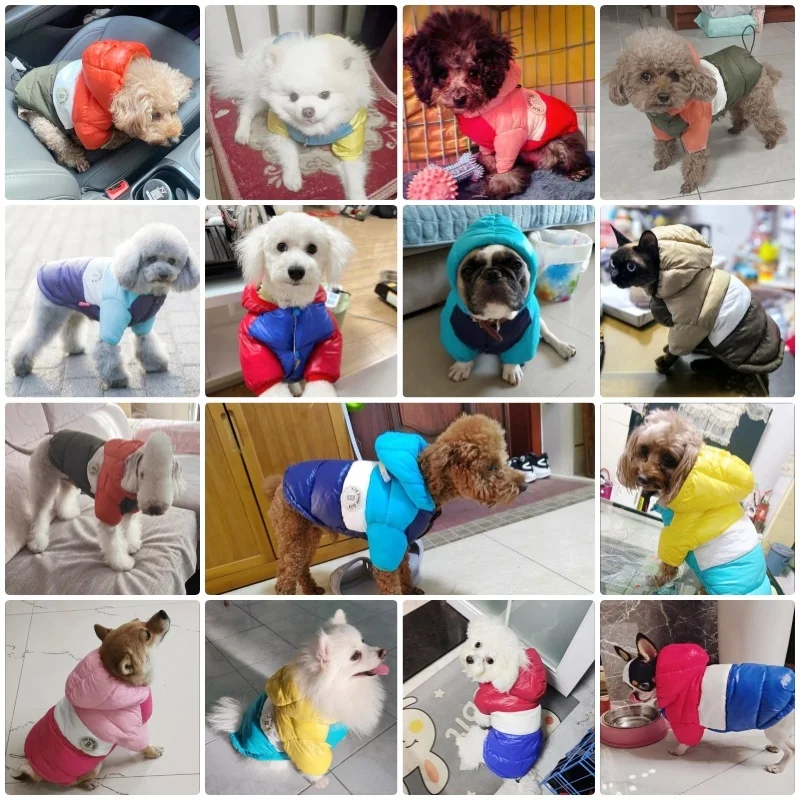 겨울용 강아지 다운 패딩 재킷 따뜻하고 부드러운 강아지 옷 패션 강아지 재킷 귀여운 단색 고양이 코트 애완 동물 의상 프렌치 불독 옷