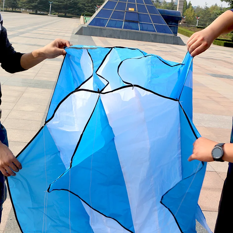 Outdoor Fun Large Dolphin Kite Flying Soft Kites Line Ripstop Nylon Outdoor Toys Octopus Kite Factory Fish Kites Factory eagle kite,colorful rainbow kite,delta kite,butterfly kite,stunt kite,beach kite,plastic kite,parafoil kite,power parafoil kite,snake kite