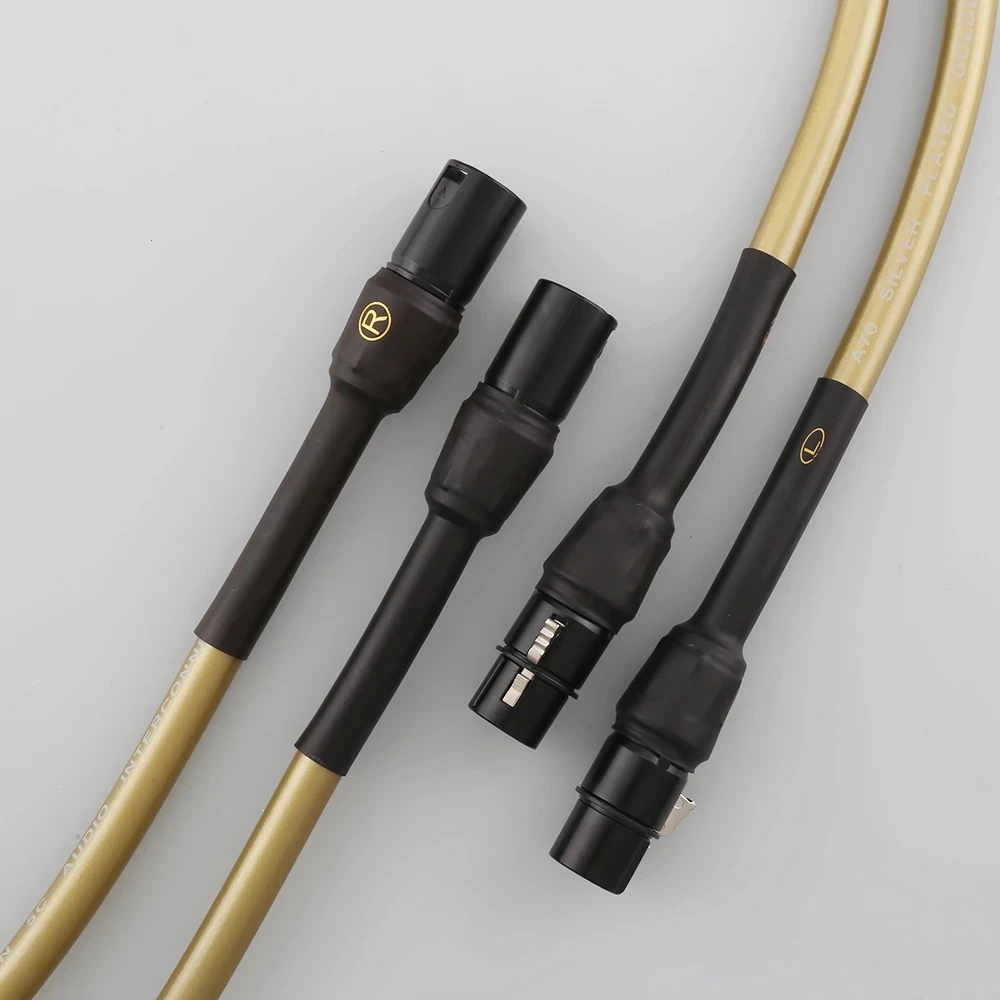   Audiocrast A70 XLR ȣ  ̺ 