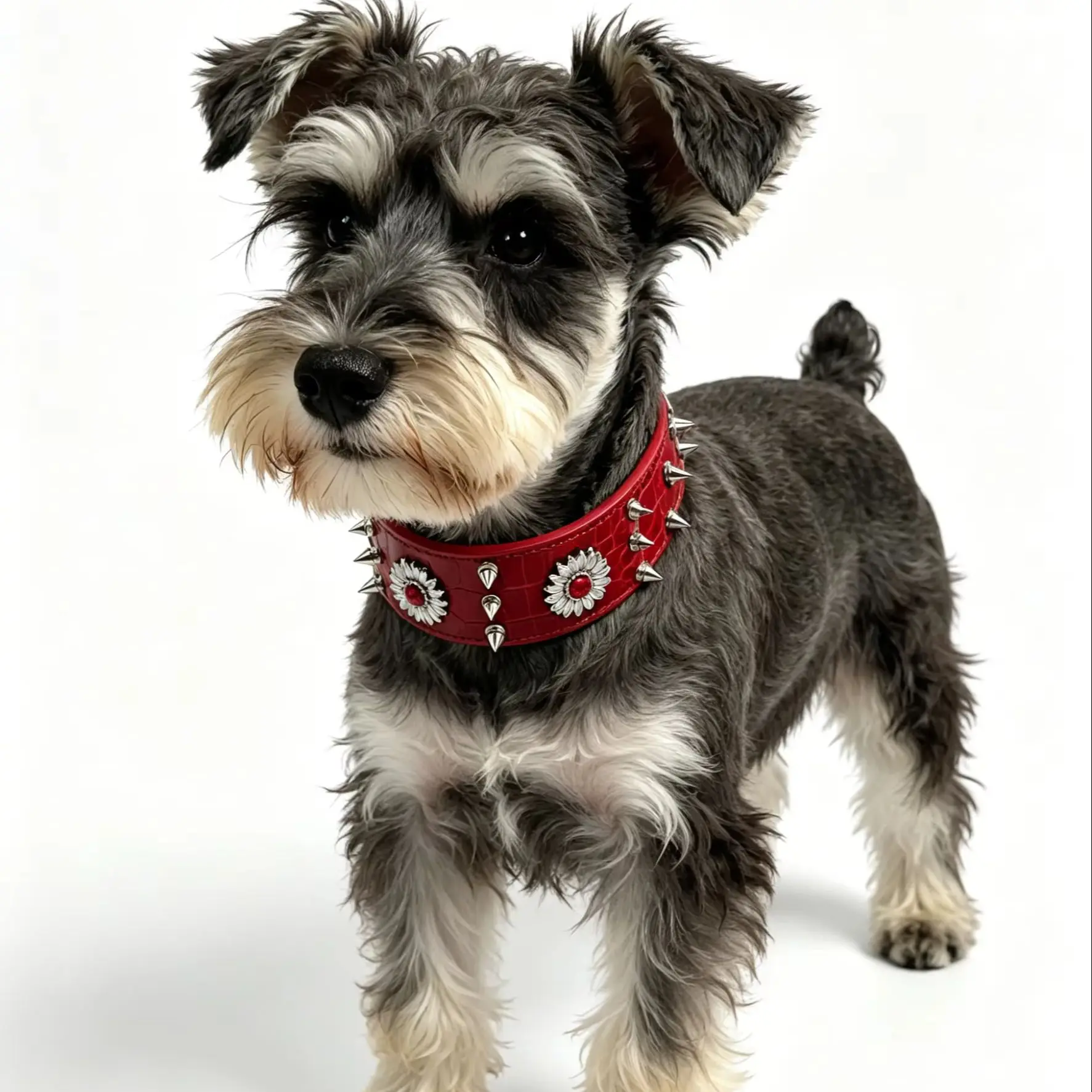 Stylish Red Riveted Dog Collar - Trendy Street Punk Design