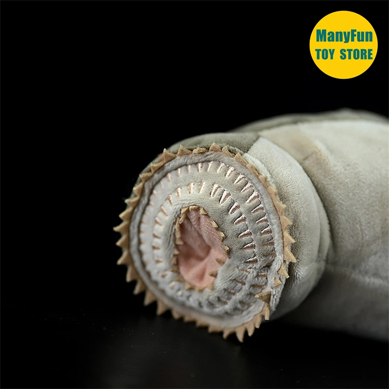 Lamprey Plush Toy High Fidelity Eel Plushie Hagfish Peluche Lifelike Stuffed Animals Simulation Doll Kawai Toy Gifts 4