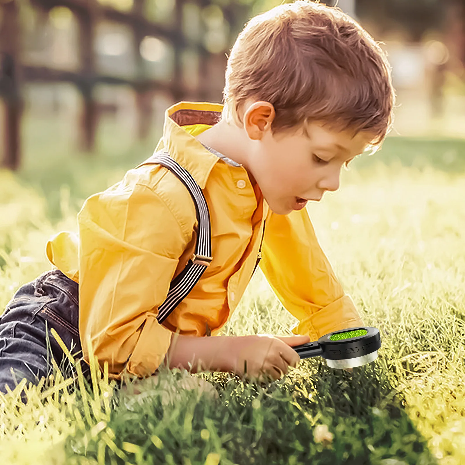 Microvision - Trutronica