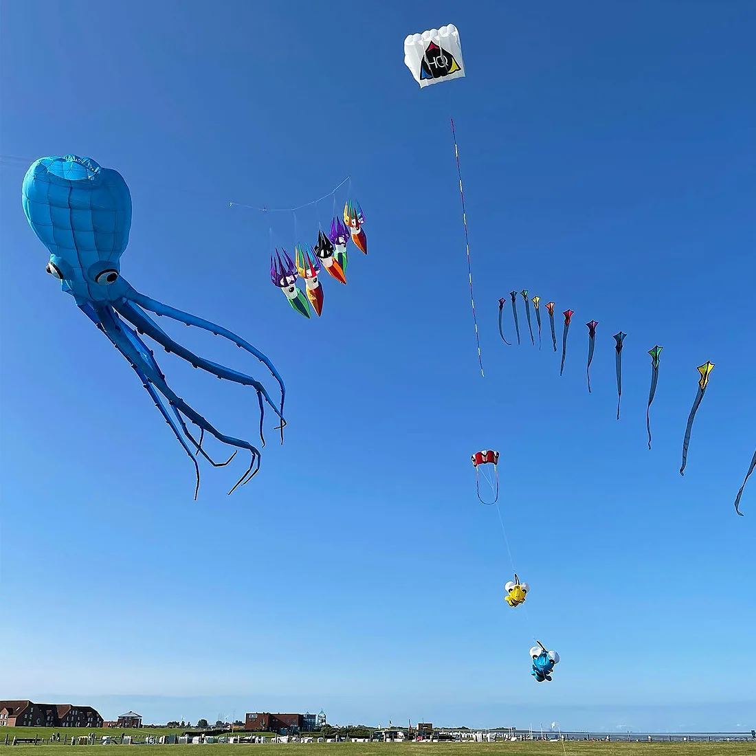 9KM 3m Squid Kite Line Laundry Pendant Soft Inflatable Show Kite for Kite Festival 30D Ripstop Nylon Fabric (Accept wholesale) 4