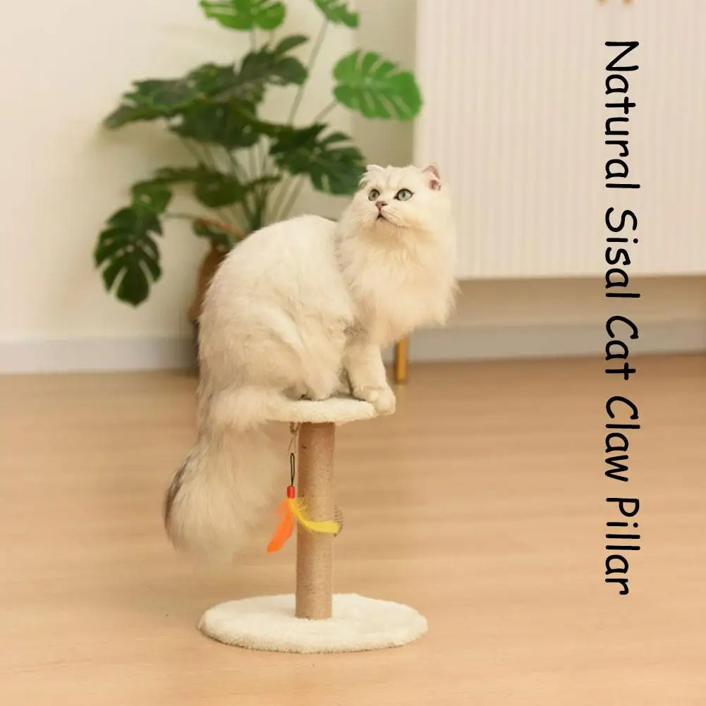 

Поворотный стол для домашних животных, поворотная доска для стойки с царапинами, материалы для скалолазания, аксессуары для домашних животных, шарики, игрушечная рамка для обучения Z7k7