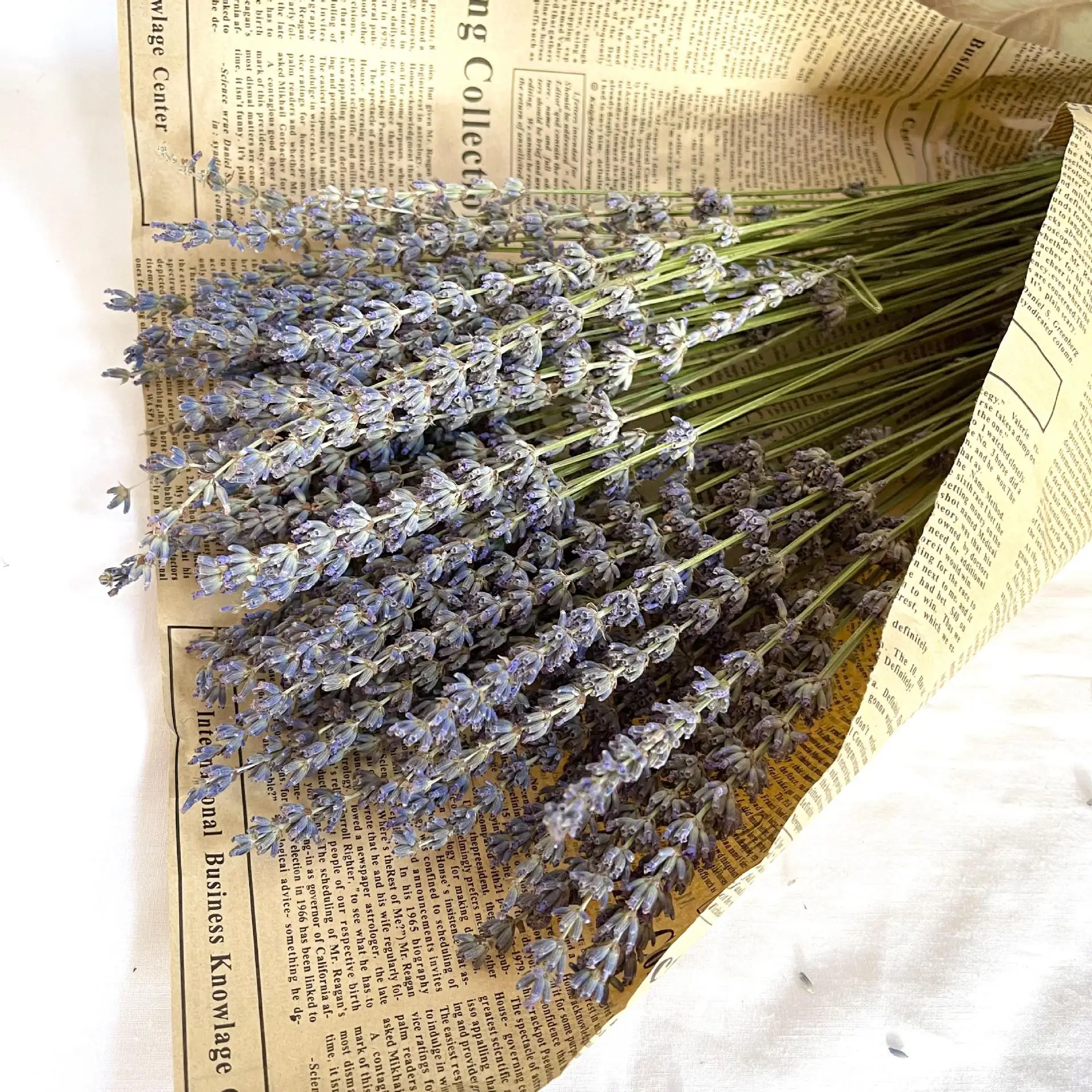 

Lavender Natural Dried Flower Bouquet For Wedding Party Decoration DIY Arrangement Immortal Flowers Garden Living Room Decor