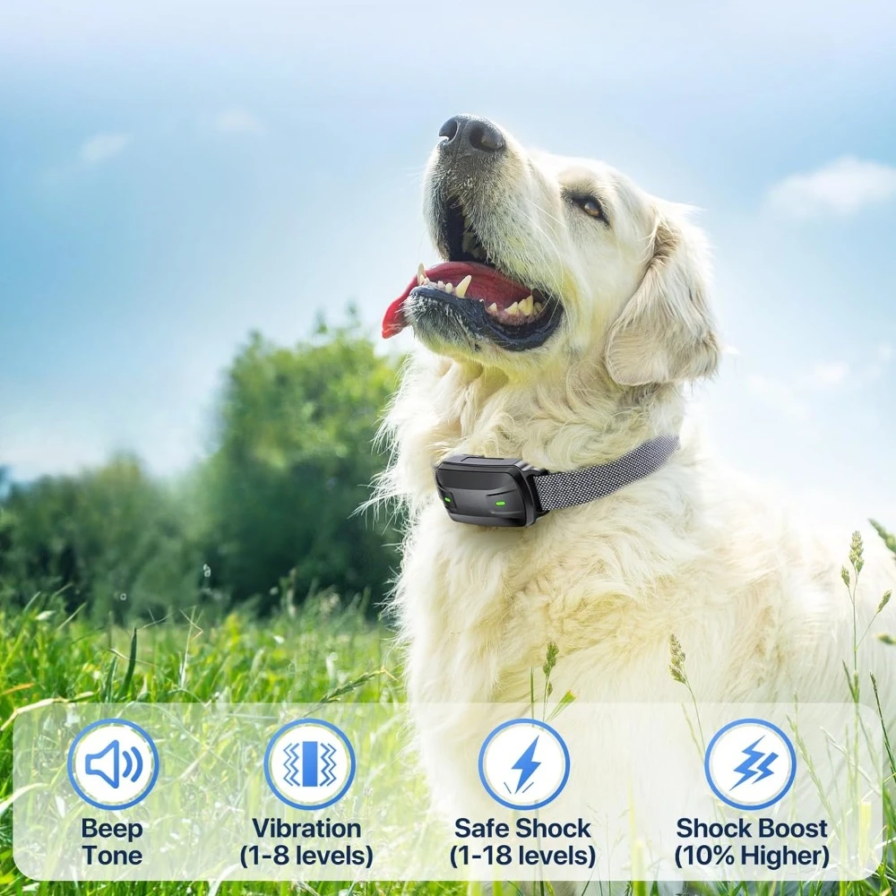 

Electronic Training Collar, Training Collar with Remote, Waterproof with Beep Vibration Shock & Security Lock, Dog Shock Collar