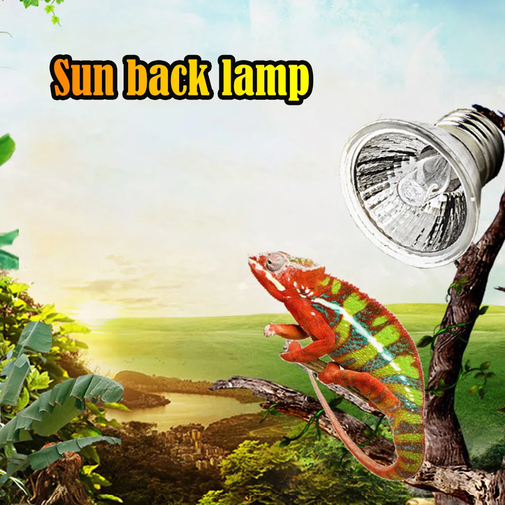 1-3pcs Reptile Lamp 25/50/75W UVA+UVB 3.0 Pet Heat Lamp Bulb Turtle Basking UV Light Bulbs Amphibians Lizard Temperature Control 5