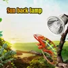 1-3pcs Reptile Lamp 25/50/75W UVA+UVB 3.0 Pet Heat Lamp Bulb Turtle Basking UV Light Bulbs Amphibians Lizard Temperature Control 5