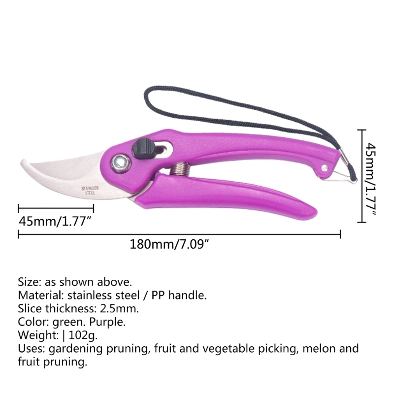 Pp Anti-Slip Grip Handle Pruning Shears Bonsai Scissors for Garden Blue  Pink Color Stainless Steel Flowers Fruit Picking Branch - AliExpress