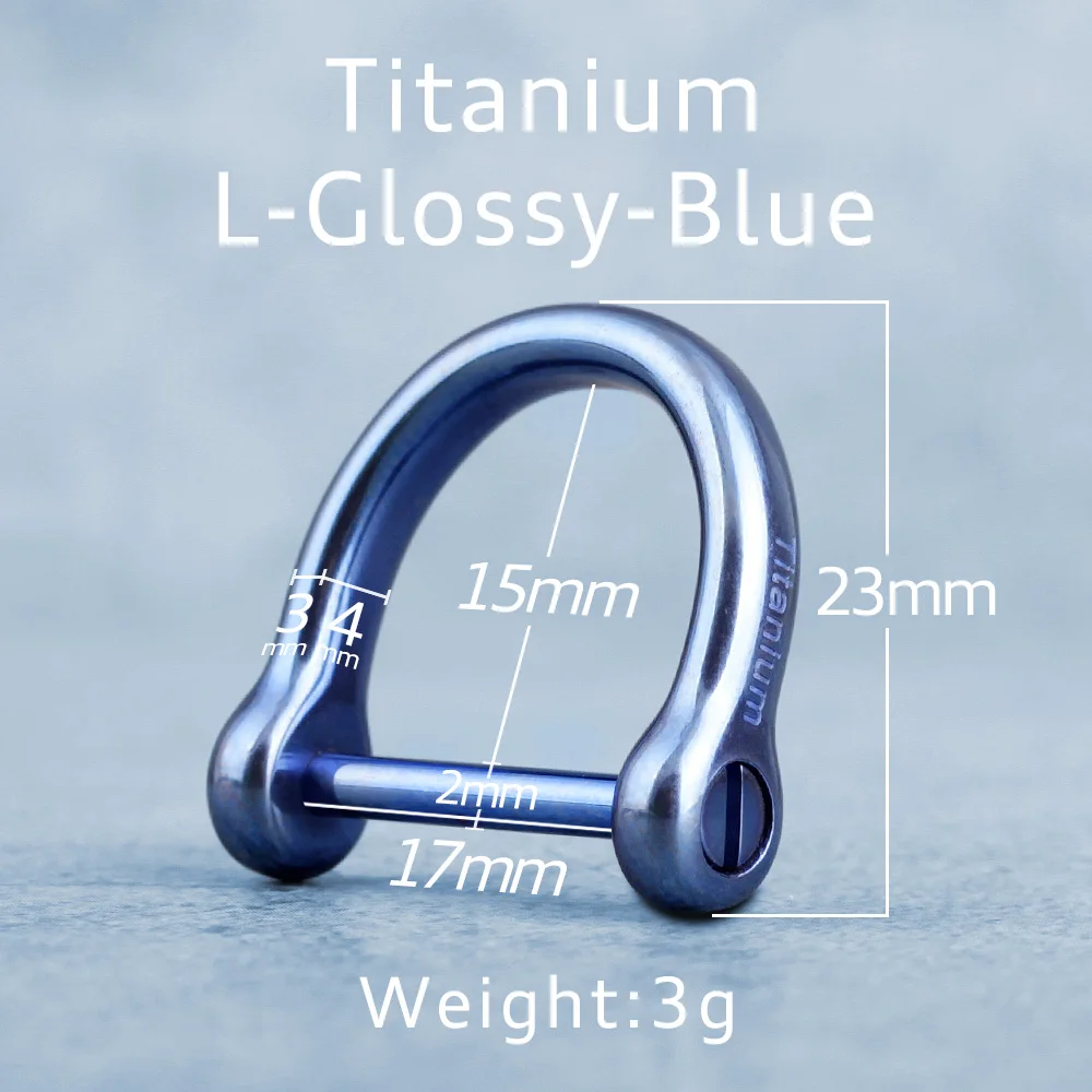 Titanium Luxury Keychain with Blue Matte Glossy Finish - Elegant Horseshoe Buckle Pendant Gift