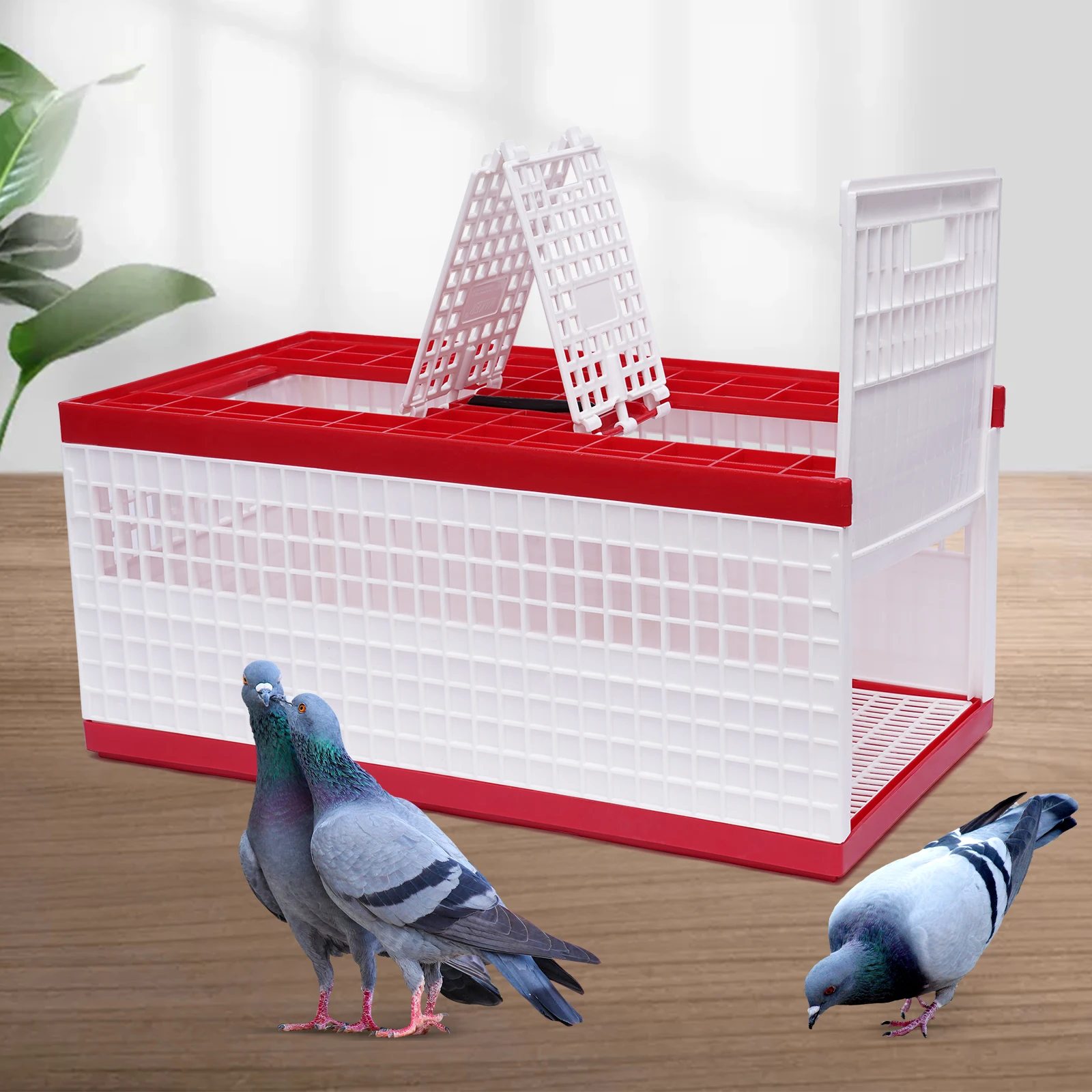 Photo inspiration: Visual Reference: Pigeon Travel Cage