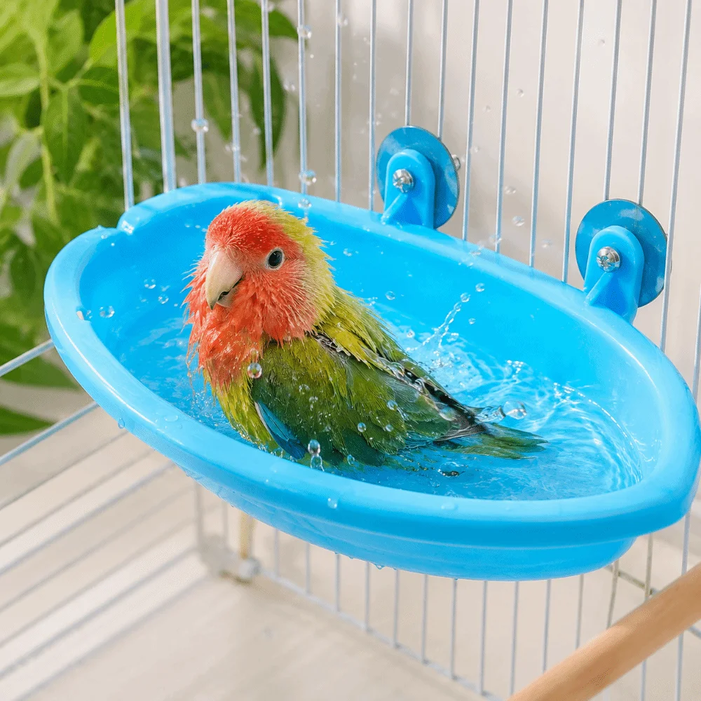 Vasca Multifunzionale per Uccelli, Doccia e Piscina, Resistente, con Contenitore per Cibo di Grande Capacità, Ciotola per Bere, Gabbia per Uccelli - immagine 2