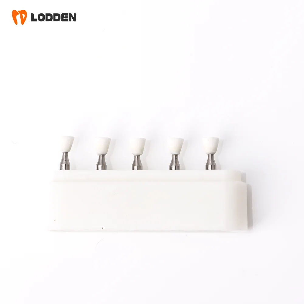 LODDEN 5 Stück Dental-Polierbohrer aus weißem Stein mit niedriger Geschwindigkeit, Kegel-/Flammen-/runde Form, Abriebbohrer RA für Polishin-Verbundwerkzeuge – Detail 33