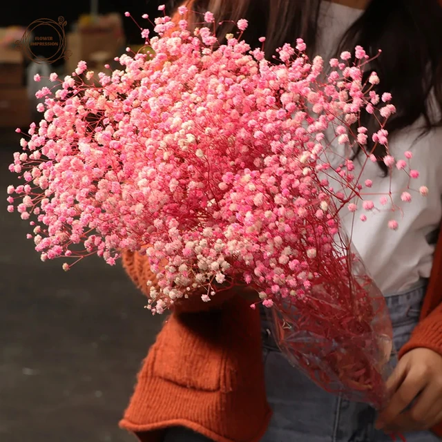 Baby Breath Flowers fiore essiccato naturale conservato Gypsophila Bouqet  decorazione di compleanno di nozze Paniculata per la decorazione della  parete di casa - AliExpress