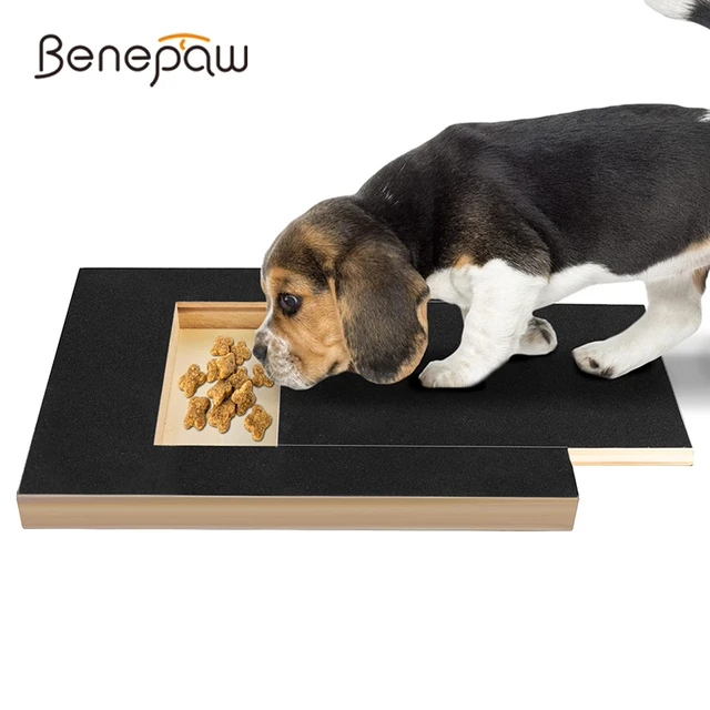 Share more than 160 dog nail file board super hot noithatsi.vn