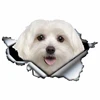 LYKX Lovely Maltese Pet Dog Car Sticker Decoration Waterproof Window Boot Decal Motorcycle Cover Scratch PVC Decals 4