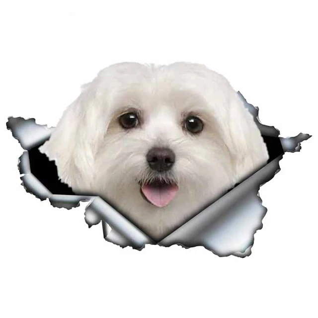 LYKX Lovely Maltese Pet Dog Car Sticker Decoration Waterproof Window Boot Decal Motorcycle Cover Scratch PVC Decals 4