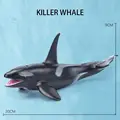 Killer Whale