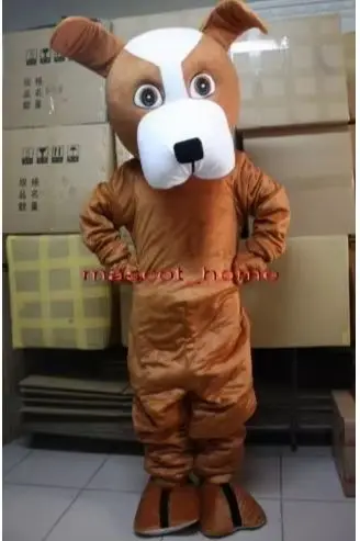 Full-body adult brown and white dog mascot costume with a plush head standing in a room.