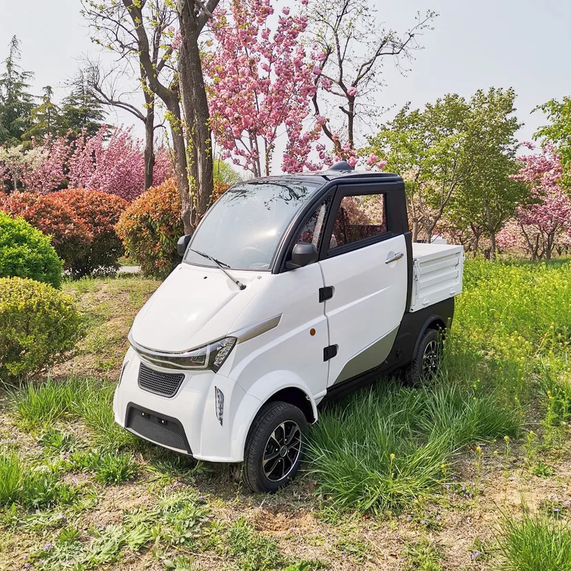 2200w 60v100a 2 Seat 2 Door Electric Mini Cargo Transport Lorry Box