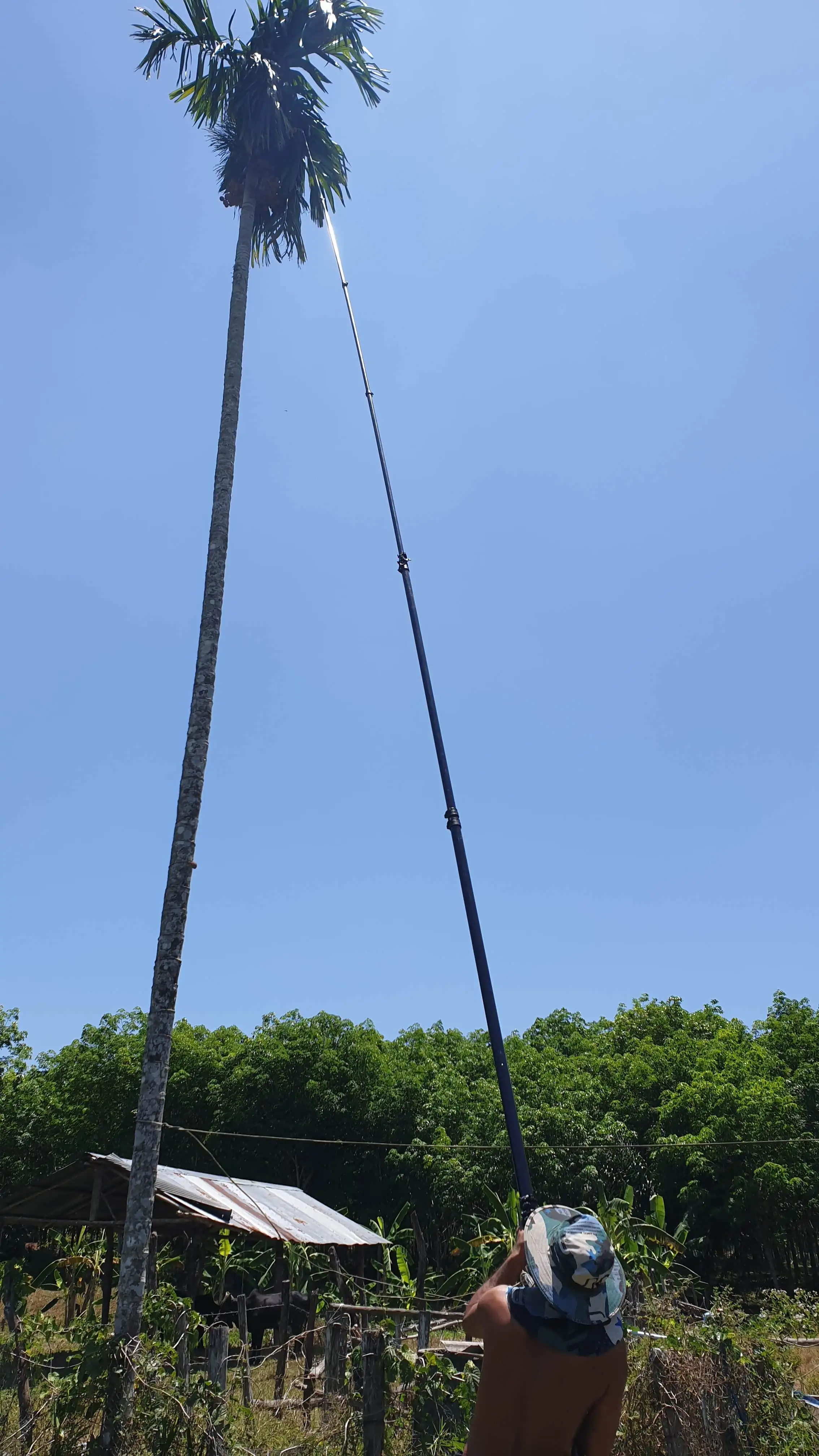 15m, 18m, 20m Carbon Fiber Telescopic Pole Carbon Fiber Telescopic Areca Nut Har