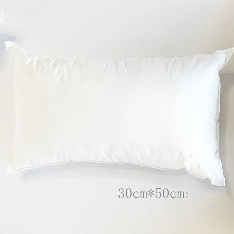 Plain White Square Pillow Napped Cloth Detachable and Washable High Elasticity High Quality Pp Cotton 3D Throw Pillow Core 4