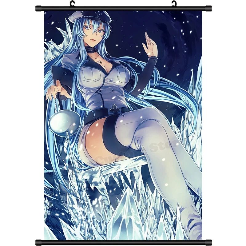 Esdeath Akame Ga Kill Anime Poster for Sale by Spacefoxart