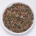 Unakite Jasper chip