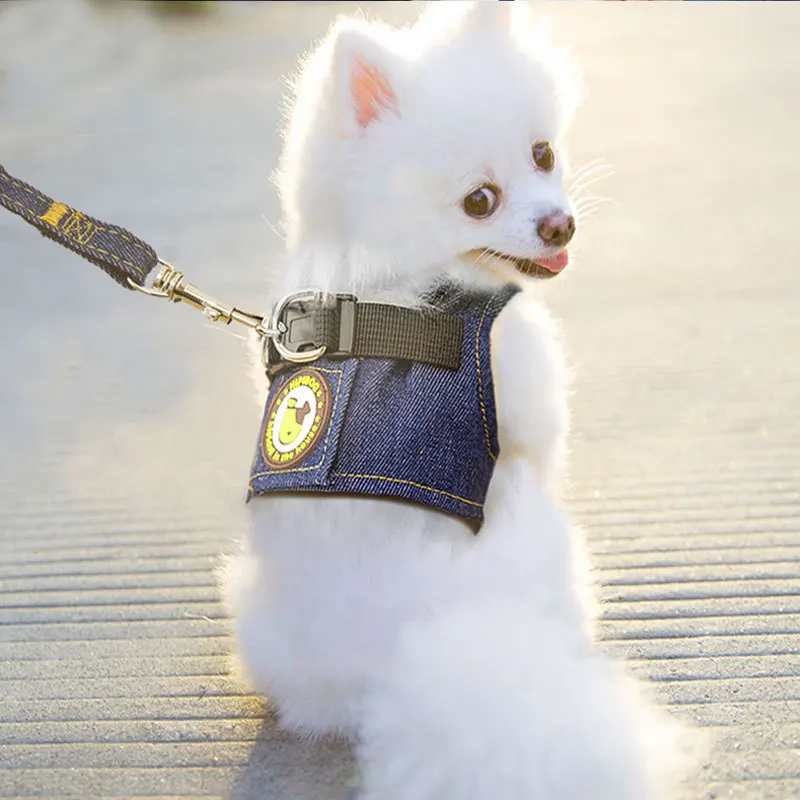 

Pet Dog Safety Harness and Leash Set for Small Medium Dogs Cat Harnesses Vest Puppy Chest Strap Pug Chihuahua Bulldog Pet Vest