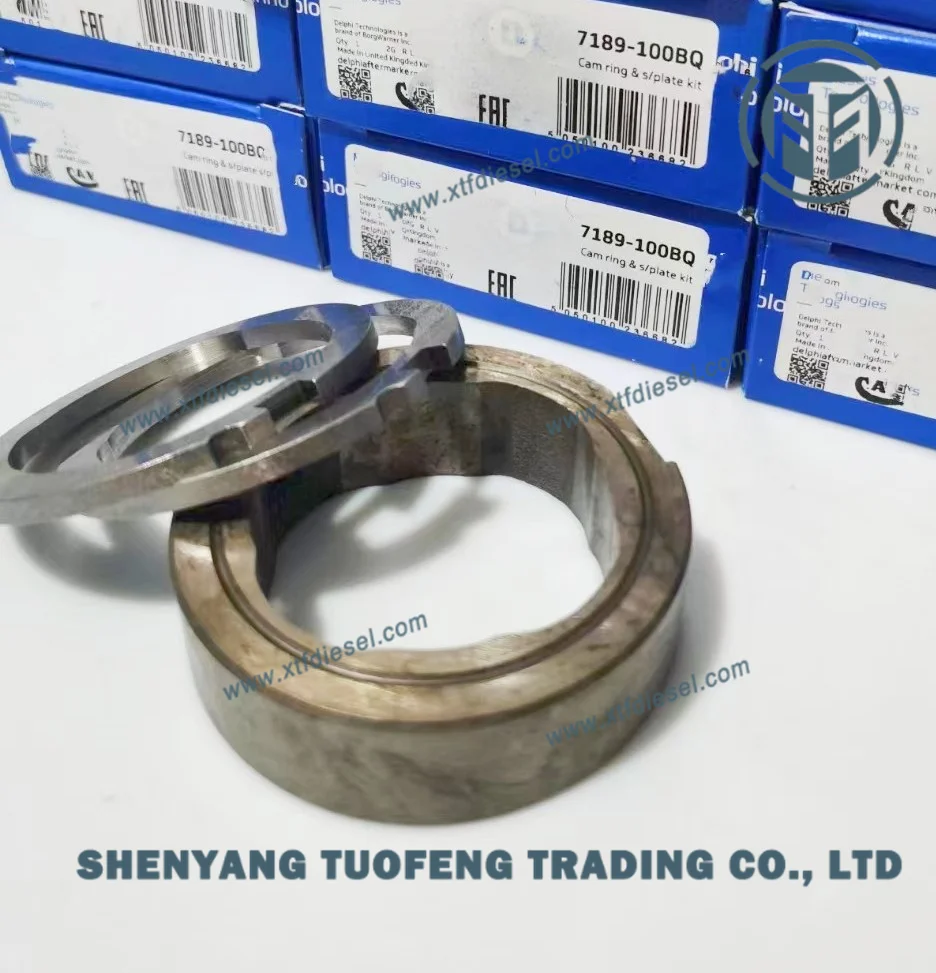 100 Original Cam Ring 7189 100BQ (Main Ring 433A) for DP210 Made in
