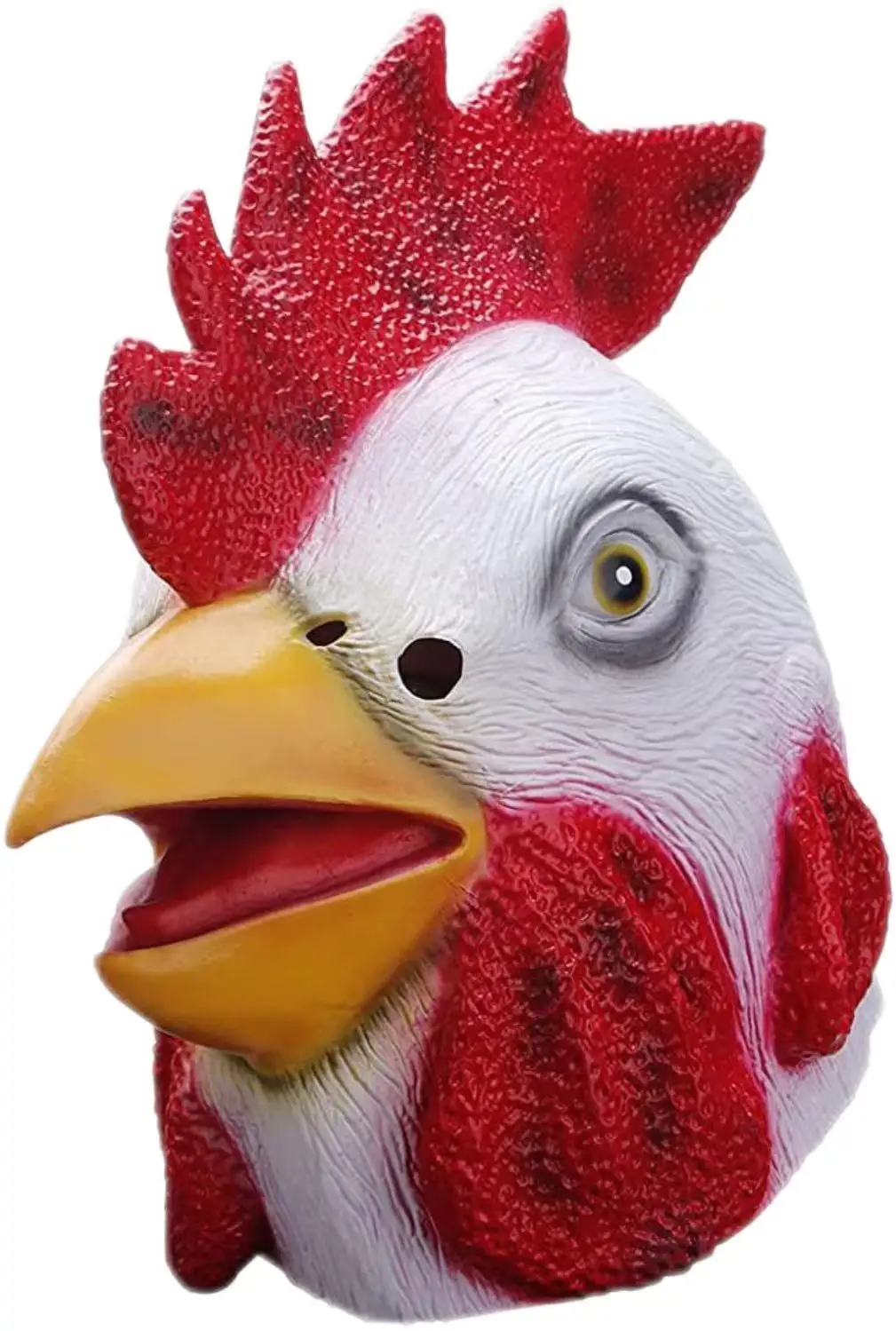 ġŲ ũ ż Ӹ ũ, 𷰽 뺧Ƽ ҷ  ũ, ڽƬ Ƽ ؽ ũ, ż ڽ ǰ, 10 
