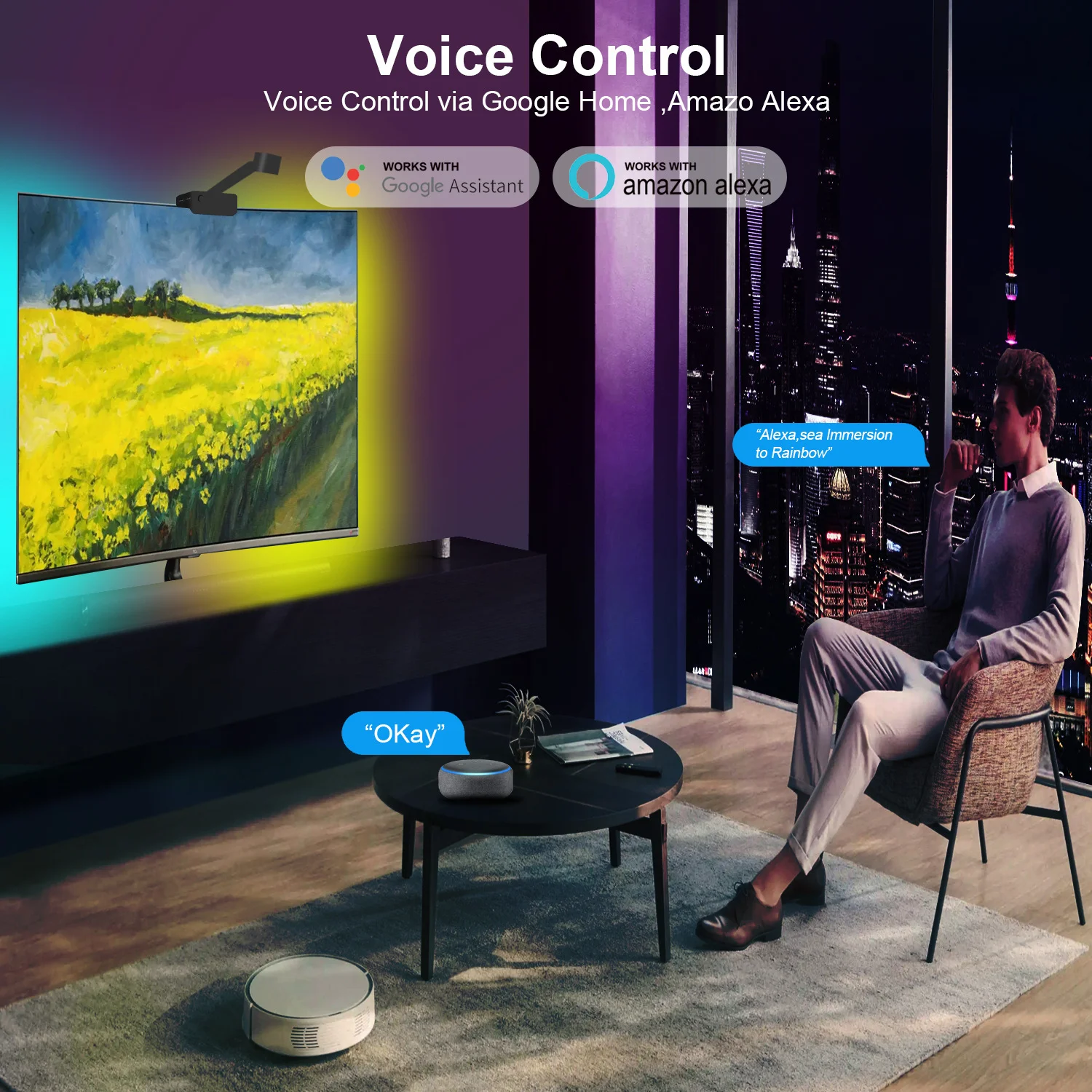 Immersive TV PC Background Light Strip RGBIC LED Strips HDTV Computer Monitor Screen Color Sync Smart APP Control Ambient Lamps