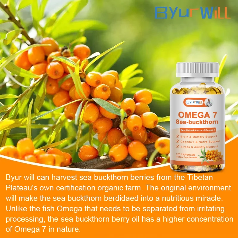 Digestive Capsules OMEGA-7 Sea Buckthorn Oil Supplements for Skin Hair Health Immunity Digestive System