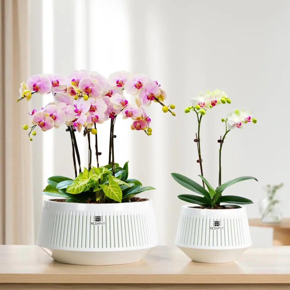 Meshpot Vasi per orchidee a doppio strato con fori per la circolazione