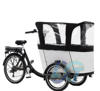 Bicicletta Elettrica da Carico a 3 Ruote per Famiglie, Ideale per Trasportare Bambini