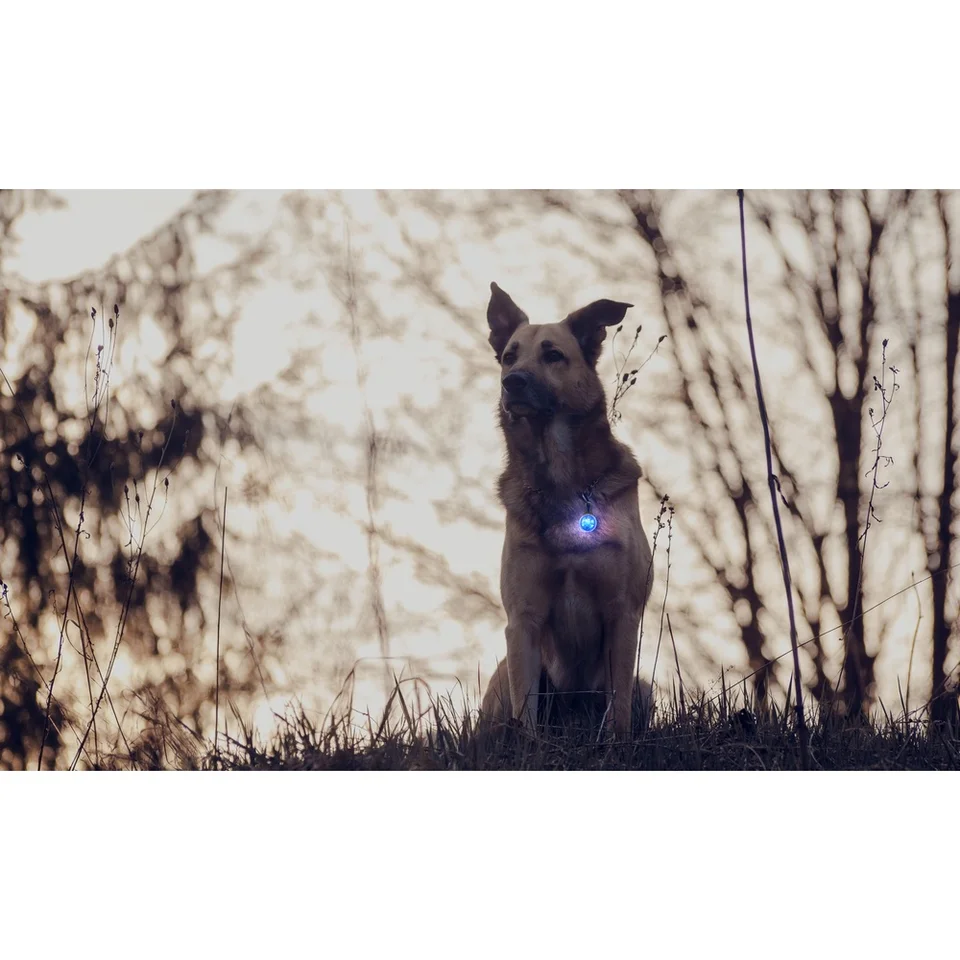 Reflective LED Dog Collar Light With Keychain