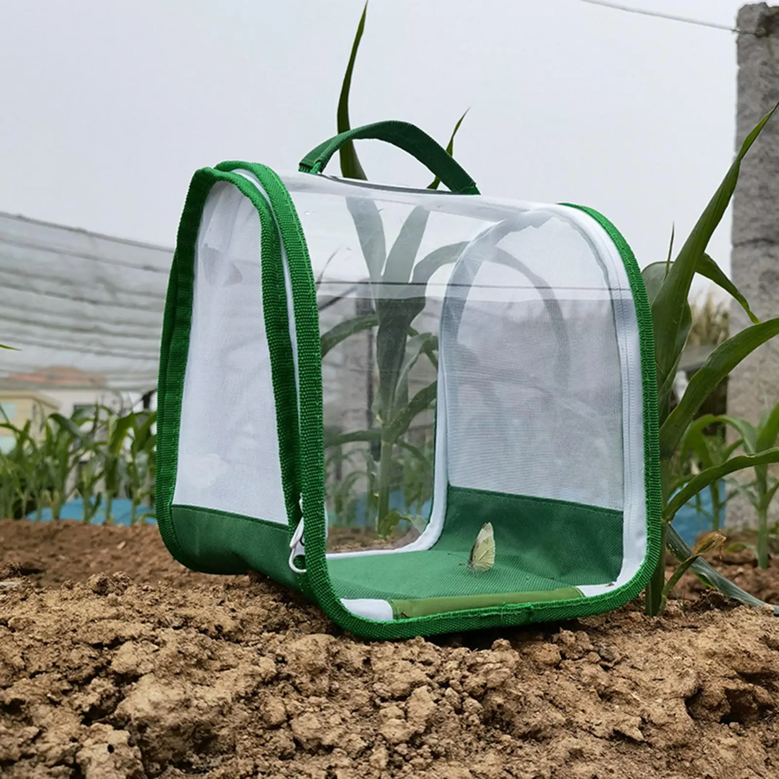 Insect and Butterfly Habitat Cage Observation Polyester Handle Plant Terrarium for Caterpillar Raising Kids