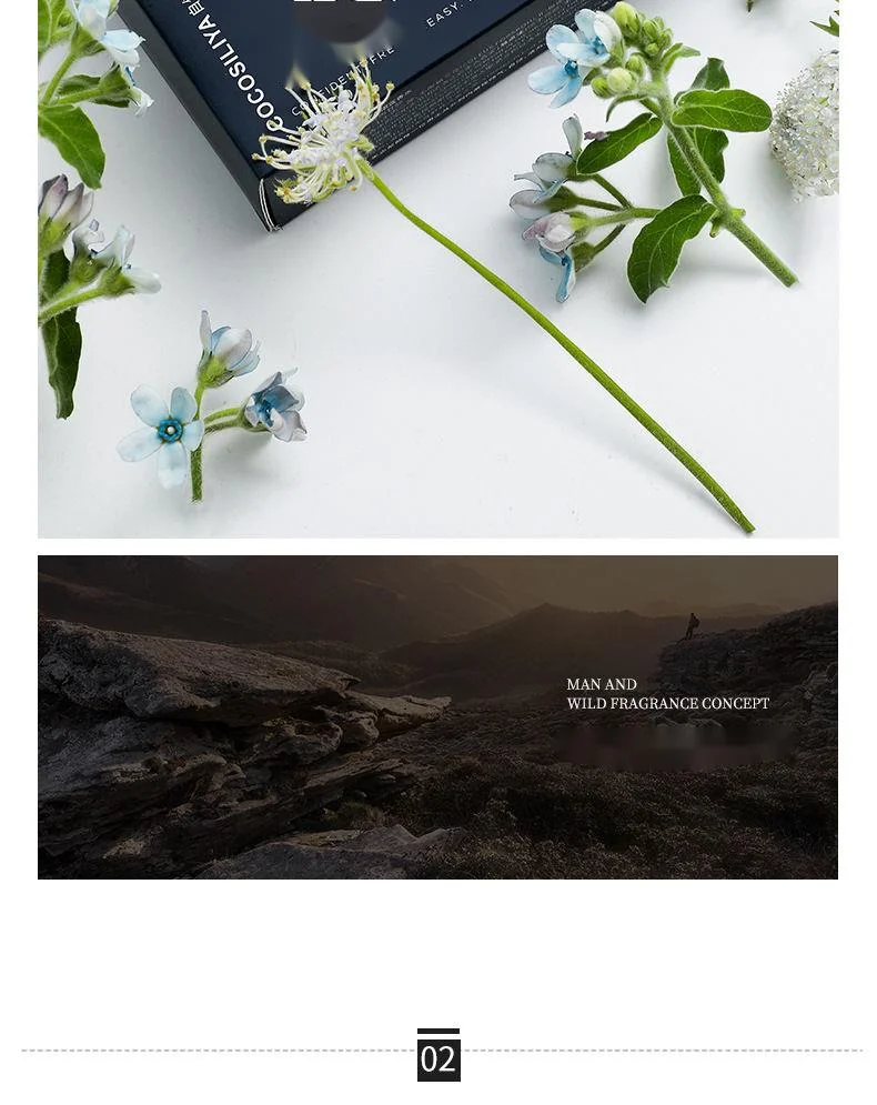 Nieuw parfum COCOSILIYA Gulong herenparfum Blauw Gentleman Heren Oceaangeur Blijvende geur Oceaangeur_voghion.com