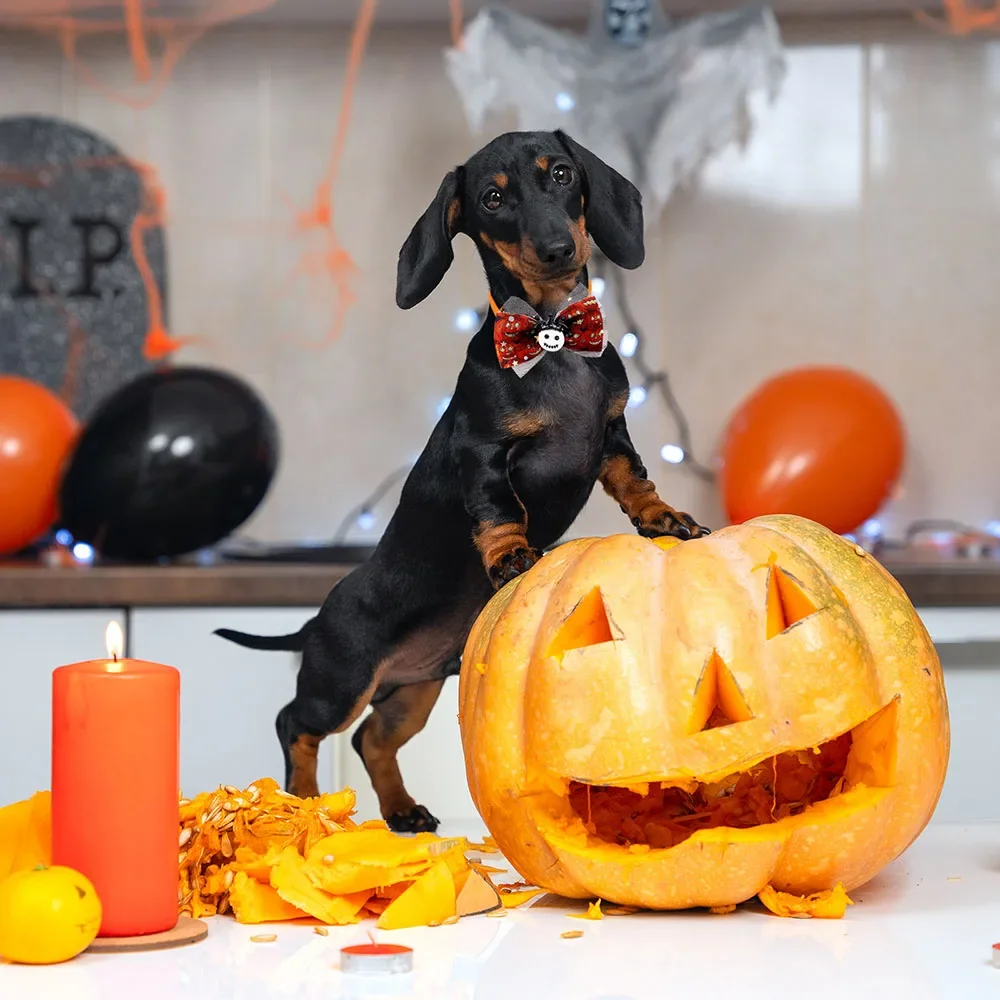 50pcs-halloween-dog-bow-ties-adjustable-pet-bows-for-cats-dogs