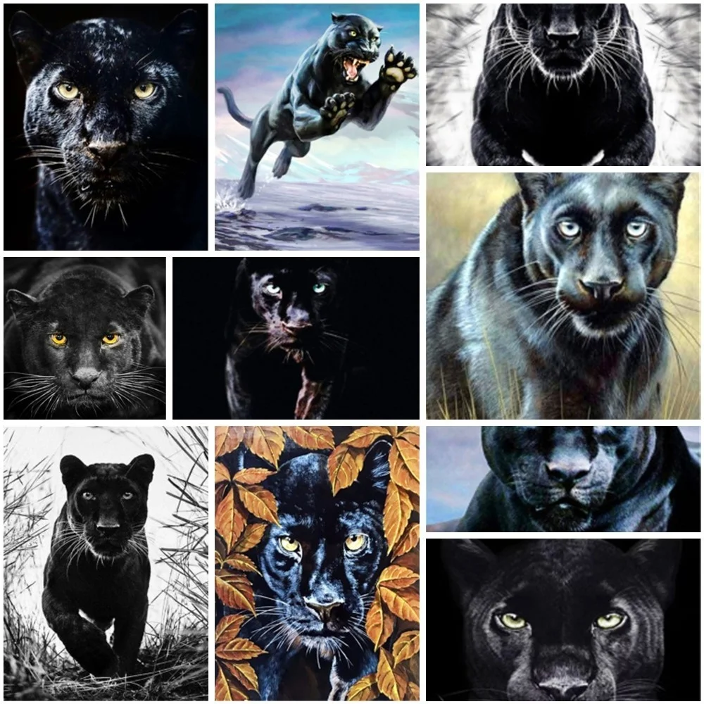 Black Panther Portrait – trendy canvas print– Photowall