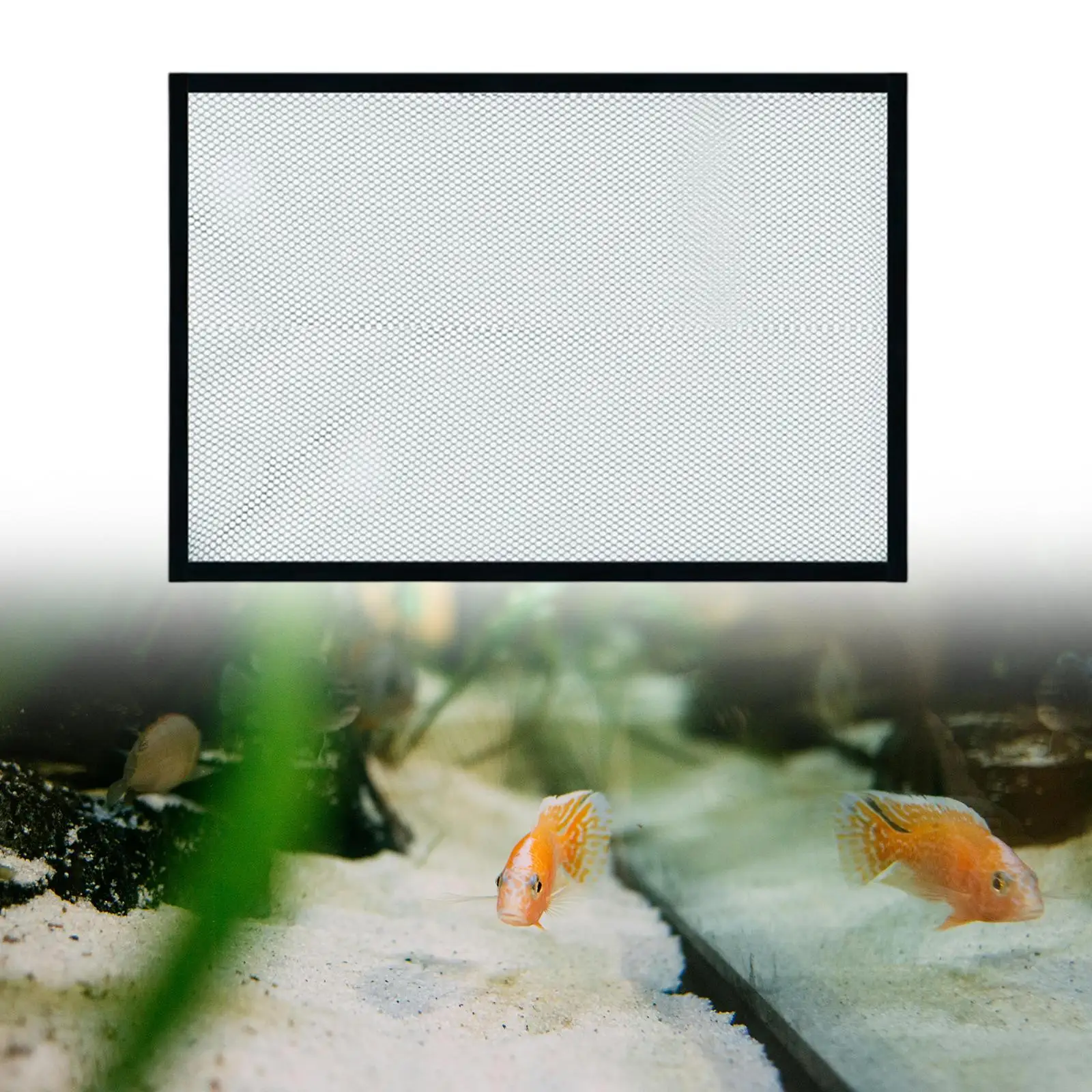Aquarium Screen Top Cover Magnetic Aquarium Anti Jumping Net Cover Transparent Jump Guard Protective Net Keeps Cat Out Accessory