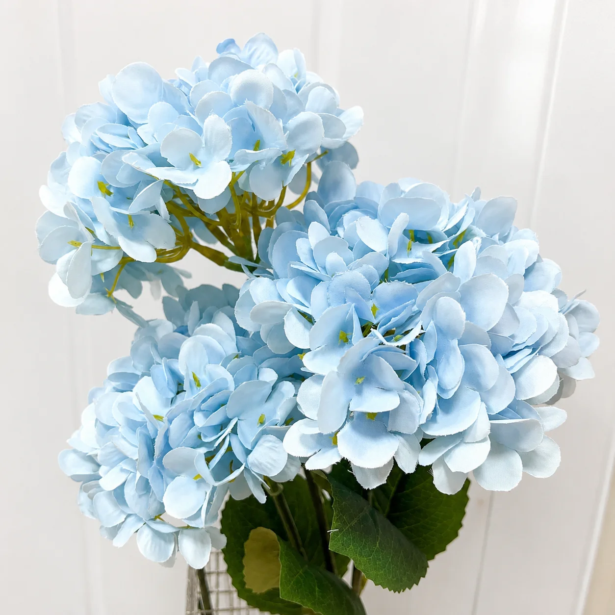 Light Blue-3PCS