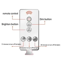 Remote Controller Cute Star LED Plug-in Night Light AC110-220V Timer 5