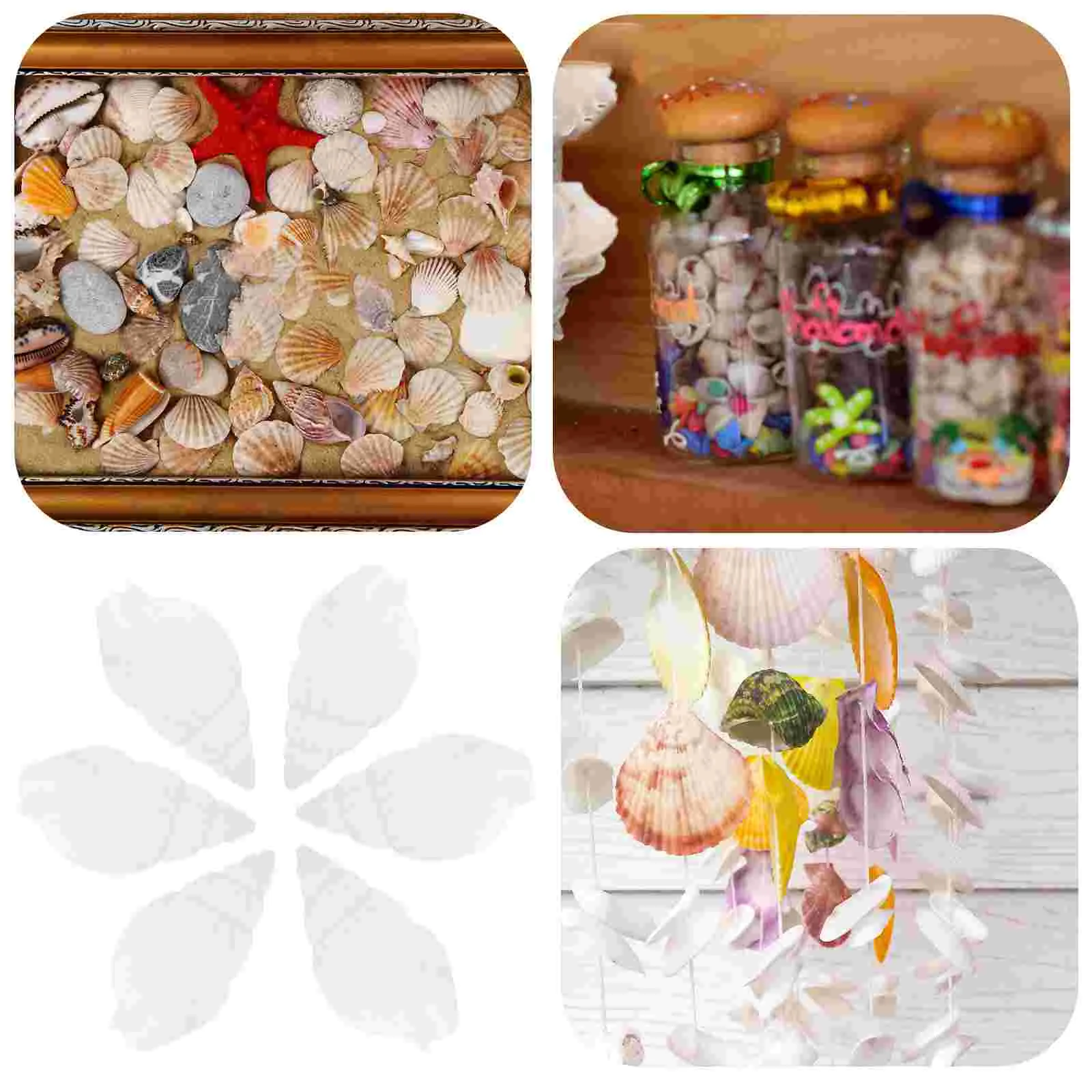 100pcs White Mini Sea Shell Conches Craft Wedding Garden Aquarium Decoration 2
