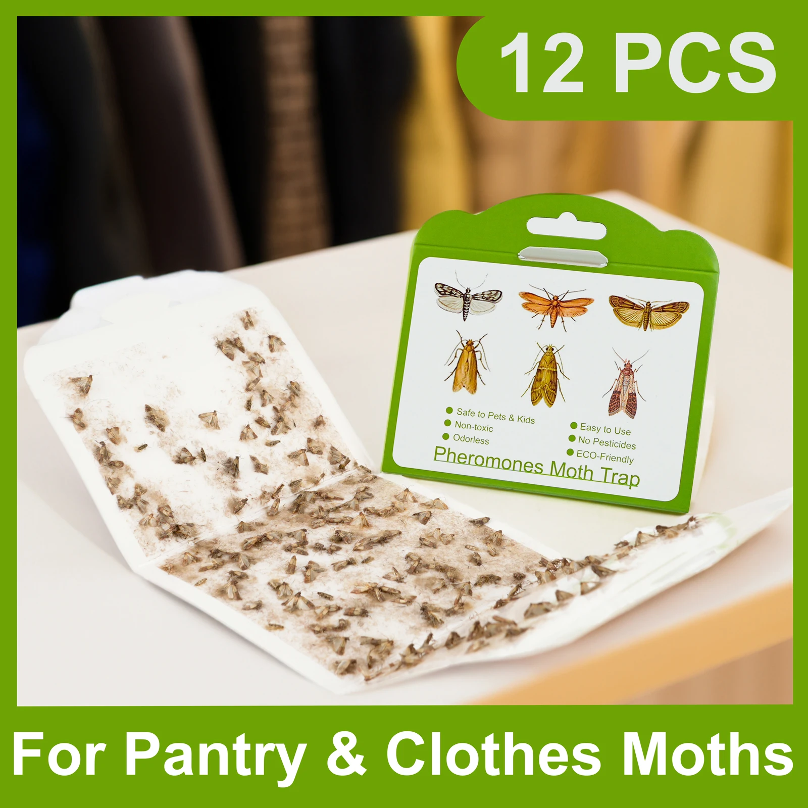 Pantry Clothes Kitchen Food Indian Moth Sticker Killer Sticky Glue Pheromone Moth Trap for Home Restaurant Pest Reject Control