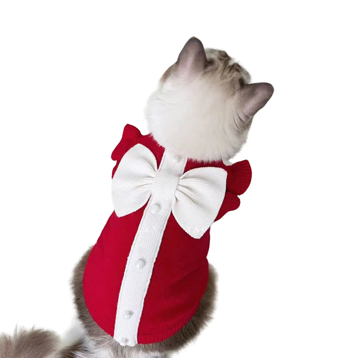 개 고양이 리본 공주 스웨터 - 새해 파티를 위한 따뜻한 겨울 애완동물 옷, 작은 개들을 위한 귀여운 축제 의상