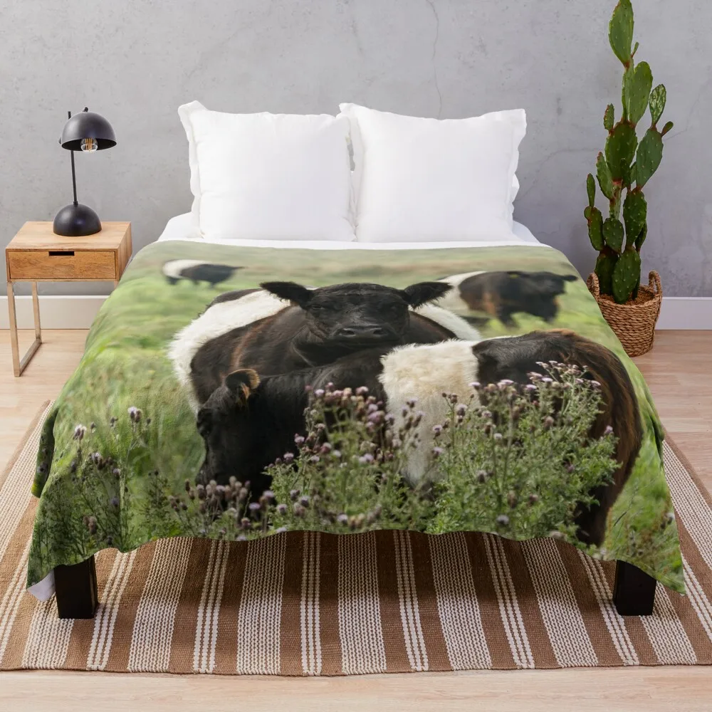 

Belted Galloway Cows Throw Blanket Flannel Fabric Camping For Sofa Thin Blankets